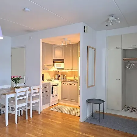 Viihtyisae Asunto Keskustassa Oma Sauna Ja Terassi