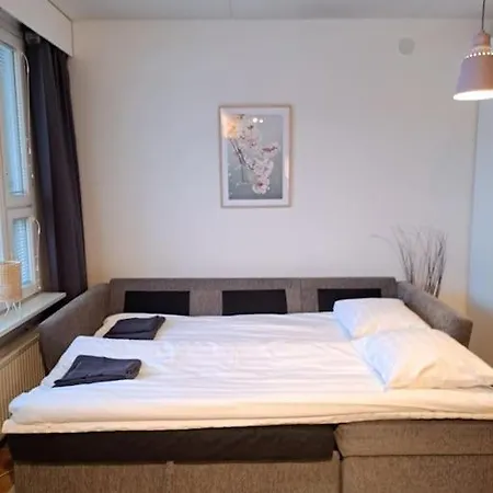 Viihtyisae Asunto Keskustassa Oma Sauna Ja Terassi