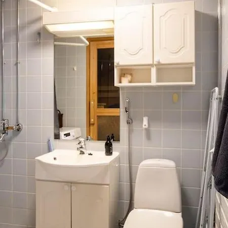 Viihtyisae Asunto Keskustassa Oma Sauna Ja Terassi *
