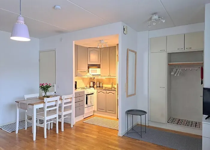 Viihtyisae Asunto Keskustassa Oma Sauna Ja Terassi