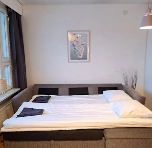 Viihtyisae Asunto Keskustassa Oma Sauna Ja Terassi