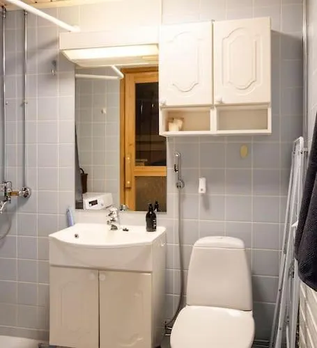 Viihtyisae Asunto Keskustassa Oma Sauna Ja Terassi *